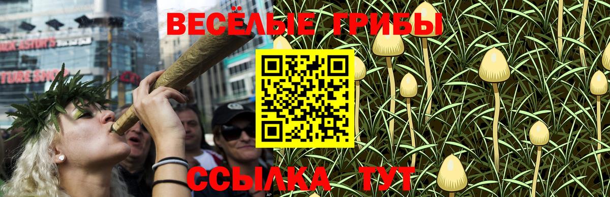 Галлюциногенные грибы прущие грибы Алапаевск