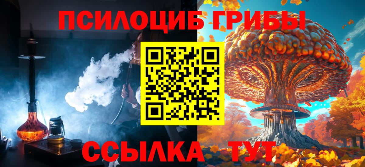 Алапаевск  наркотики  Вход с VPN  Галлюциногенные грибы мухоморы  Псилоцибиновые грибы ЛСД 